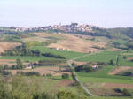 Visit the beautiful hills in Monferrato!